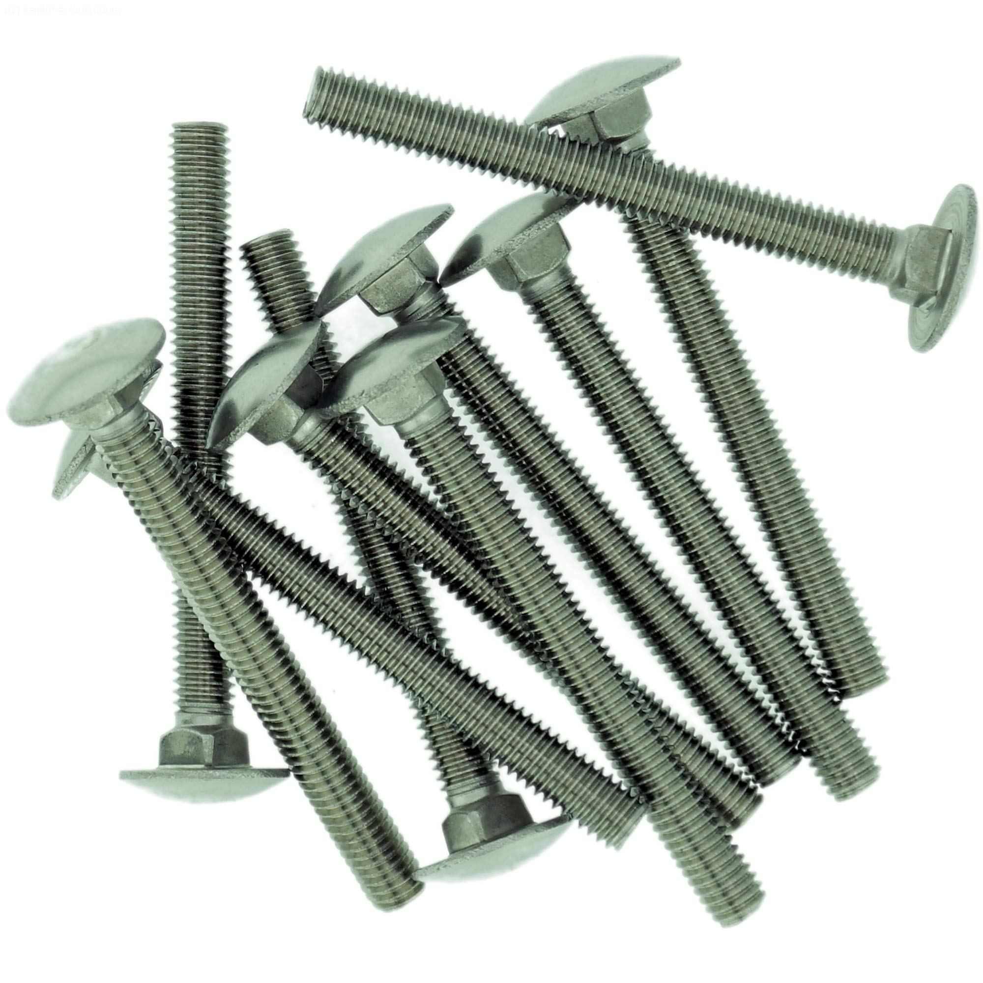 M8 (8mm x 16mm) Cup Square Carriage Bolt (Fully Threaded) - Stainless Steel (A2) (Pack of 10)