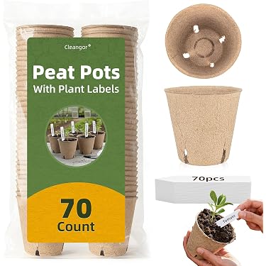 agave plant pot Agave Grow Kit main image 1