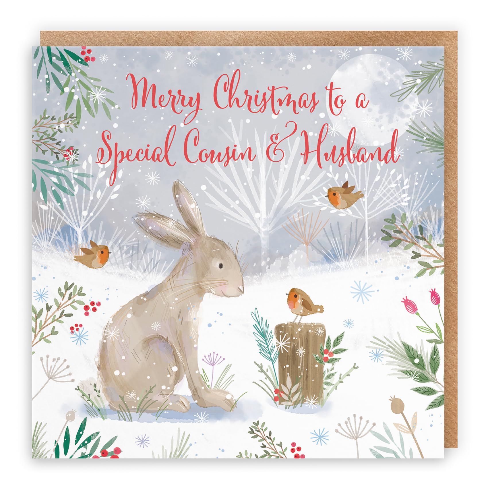 Hunts England - Cousin And Husband Cute Hare Christmas Card - Nature's Treasures - Happy Animal Wildlife Cute Merry Xmas Card - Robins And Snow
