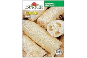 Burpee Luffa Gourd Seeds - Natural Sponge and Edible Vegetable
