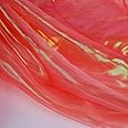 Sheer Iridescent Organza Fabric 58 Inches Wide - 5 Yards Precut - Shinny Wedding Party Decor Fairy Costume Voile Doll Clothes Sewing - Coral Red