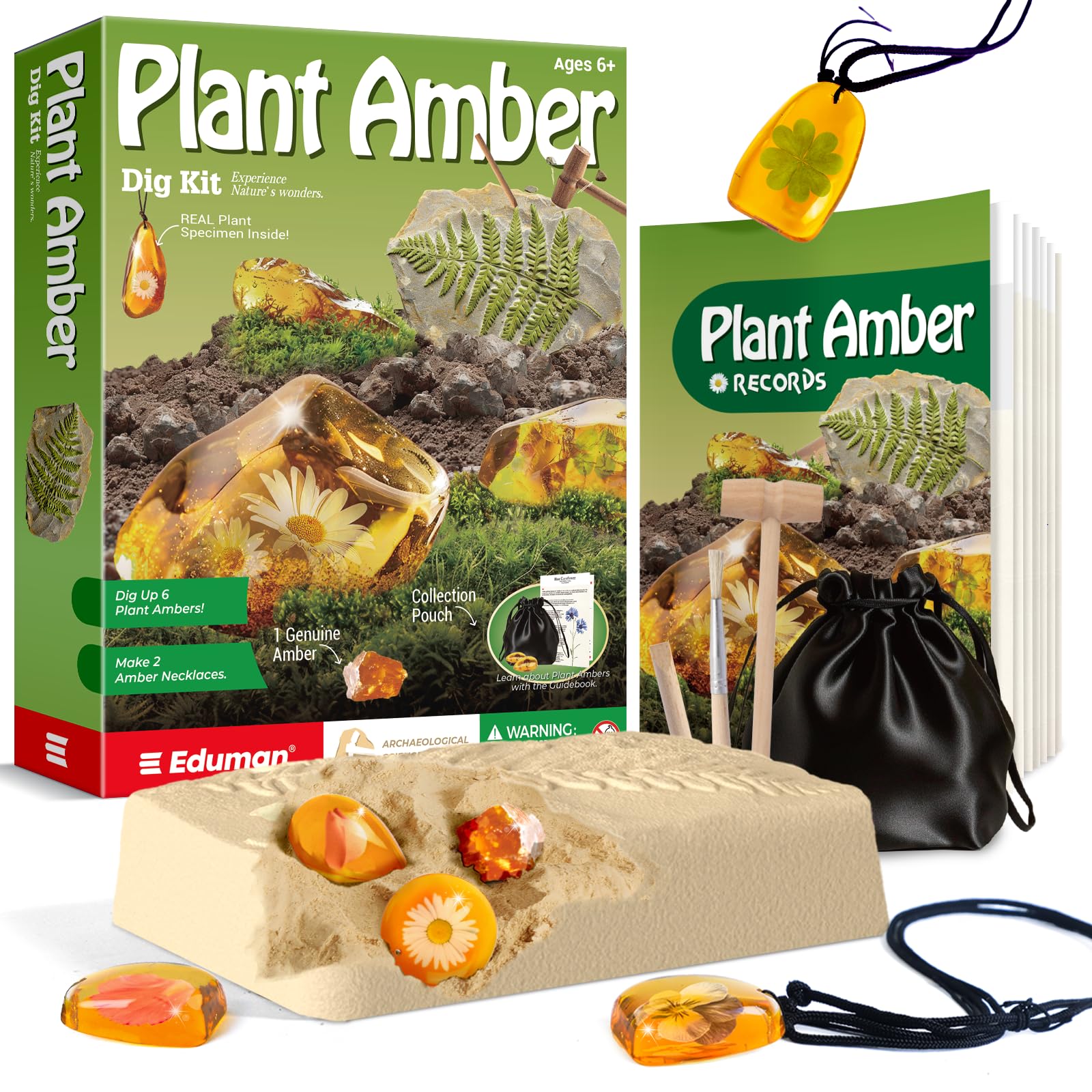 EDUMAN Amber Fossil Dig Kit for Kids,1Genuine Amber, 6 Plant Specimens Rocks & Stones Excavation Kits, Crystals & Gemstone Science Set, Educational Digging Set Toys Gifts for 6+ Year Old Girls Boys