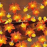 2 Pack & Timer - Thanksgiving Decorations Fall Garland with Pumpkin Lights Fall Decorations for Home, Total 60LED 20Ft Maples Leaves Thanksgiving Lights Battery Operated Indoor Outdoor Christmas Decor