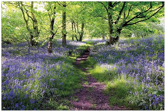Wallario Garten-Poster Outdoor-Poster - Blaues Hasenglöckchen im Wald in Premiumqualität, Größe: 61 x 91,5 cm, für den Außene