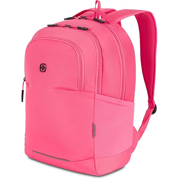 Amazon.com: SwissGear 8118 Laptop Backpack, Fits up to 14-Inch
