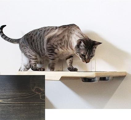 Amazon Com Catastrophicreations Cat Dining Table Handcrafted