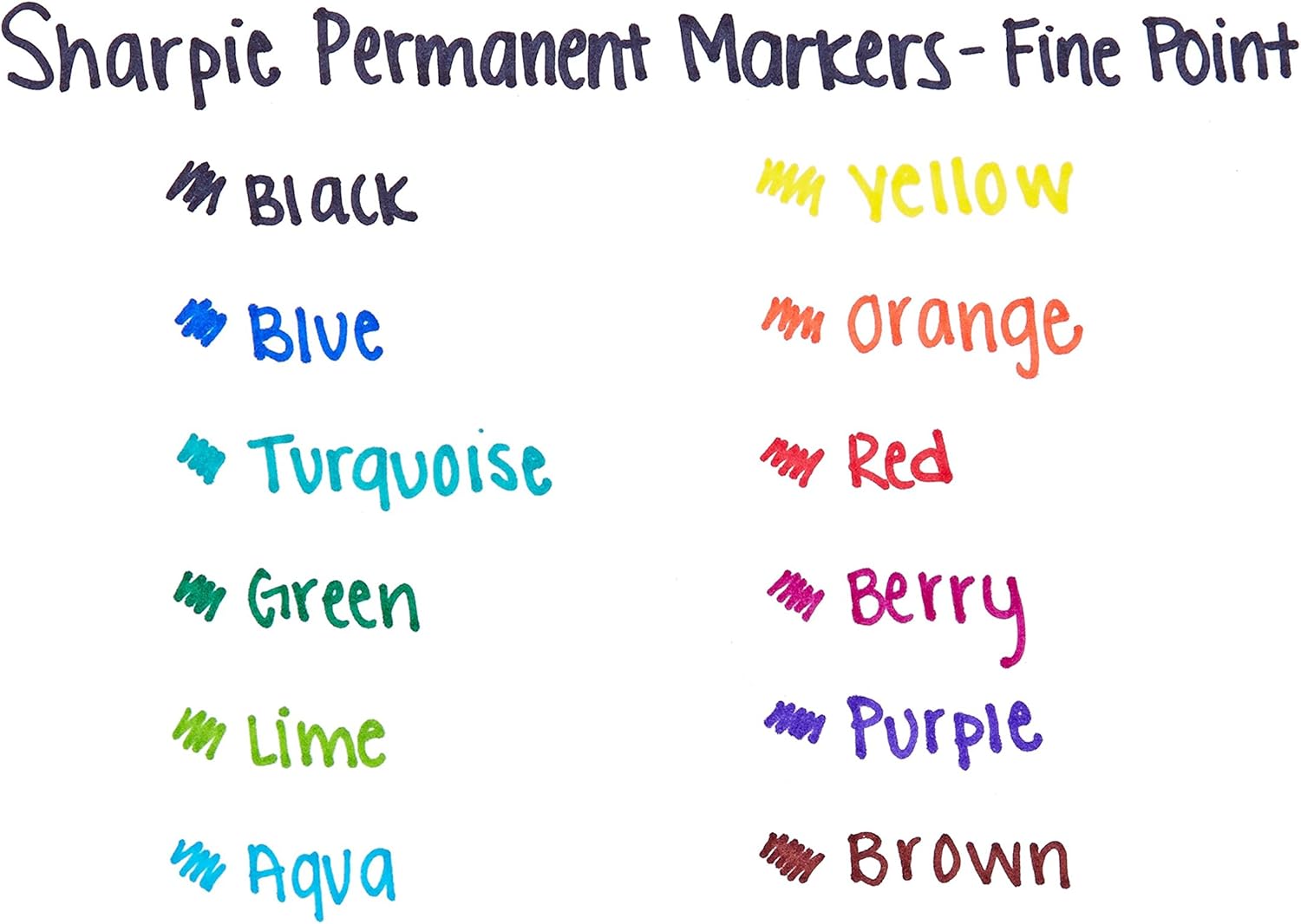 Sharpie Permanent Markers, Fine Point, Black, 12 Count : Office Products