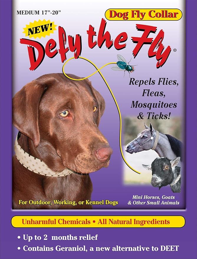 fly deterrent for dogs