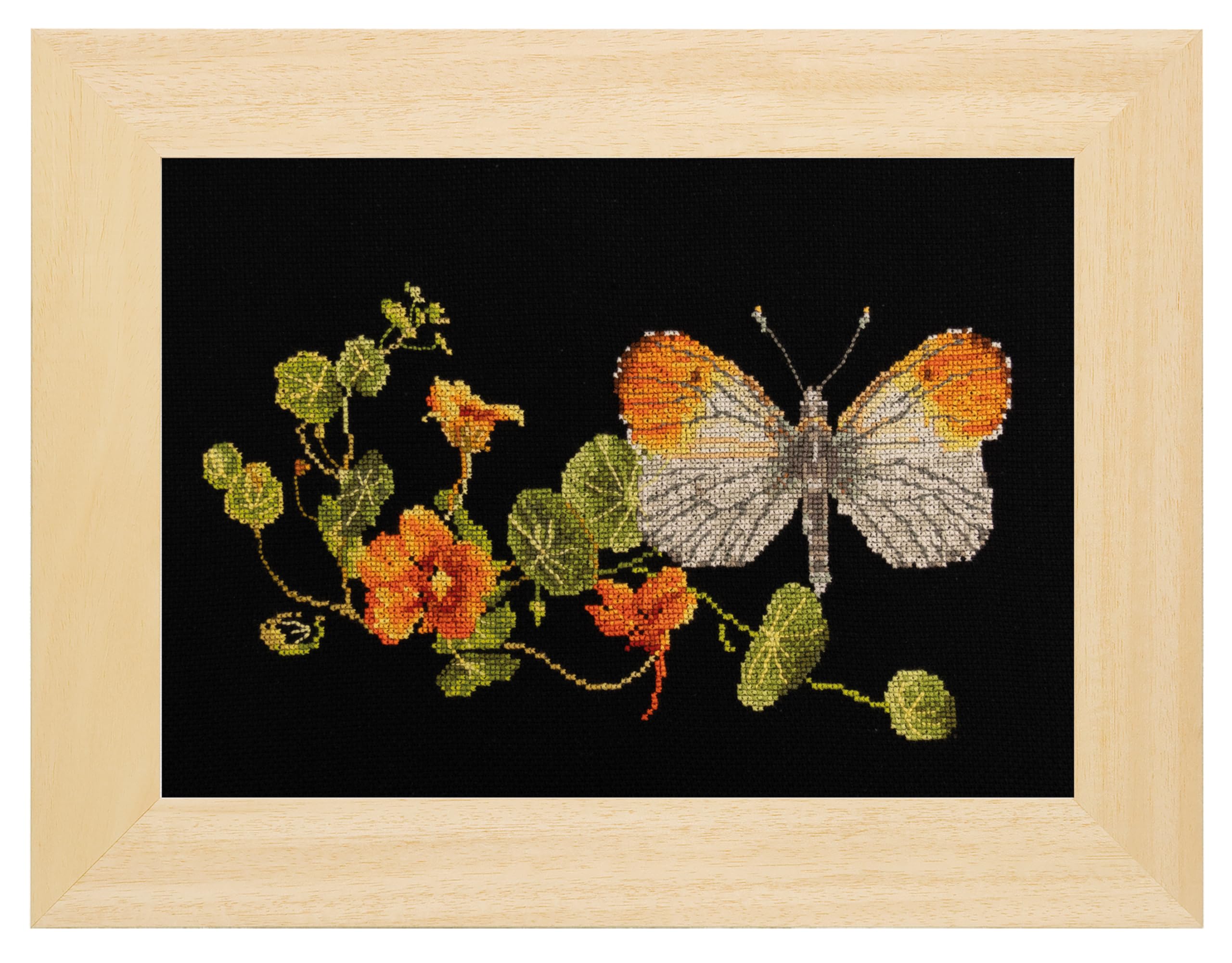 437.05 Butterfly Nasturtium 18ct Black Aida Cross Stitch Kit
