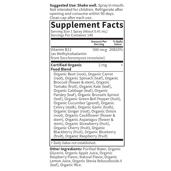 GARDEN OF LIFE ORGANICS B12 VITAMIN – WHOLE FOOD B-12 FOR METABOLISM AND ENERGY, RASPBERRY, 2OZ LIQUID
