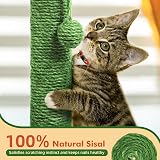 MORA PETS Tall 83cm Cat Scratching Post Cactus Sisal Ball Claw Scratcher view 4