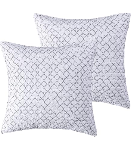 Eaasok Levtex Home Camden - Set 2 Federe Euro 66x66 Cm - Strisce Blu Navy E Crema, Quilt Back, 100% Cotone