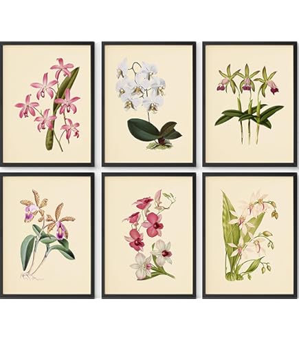Amazon.com: Botanical Garden Print Set No.11 - Botanical Prints