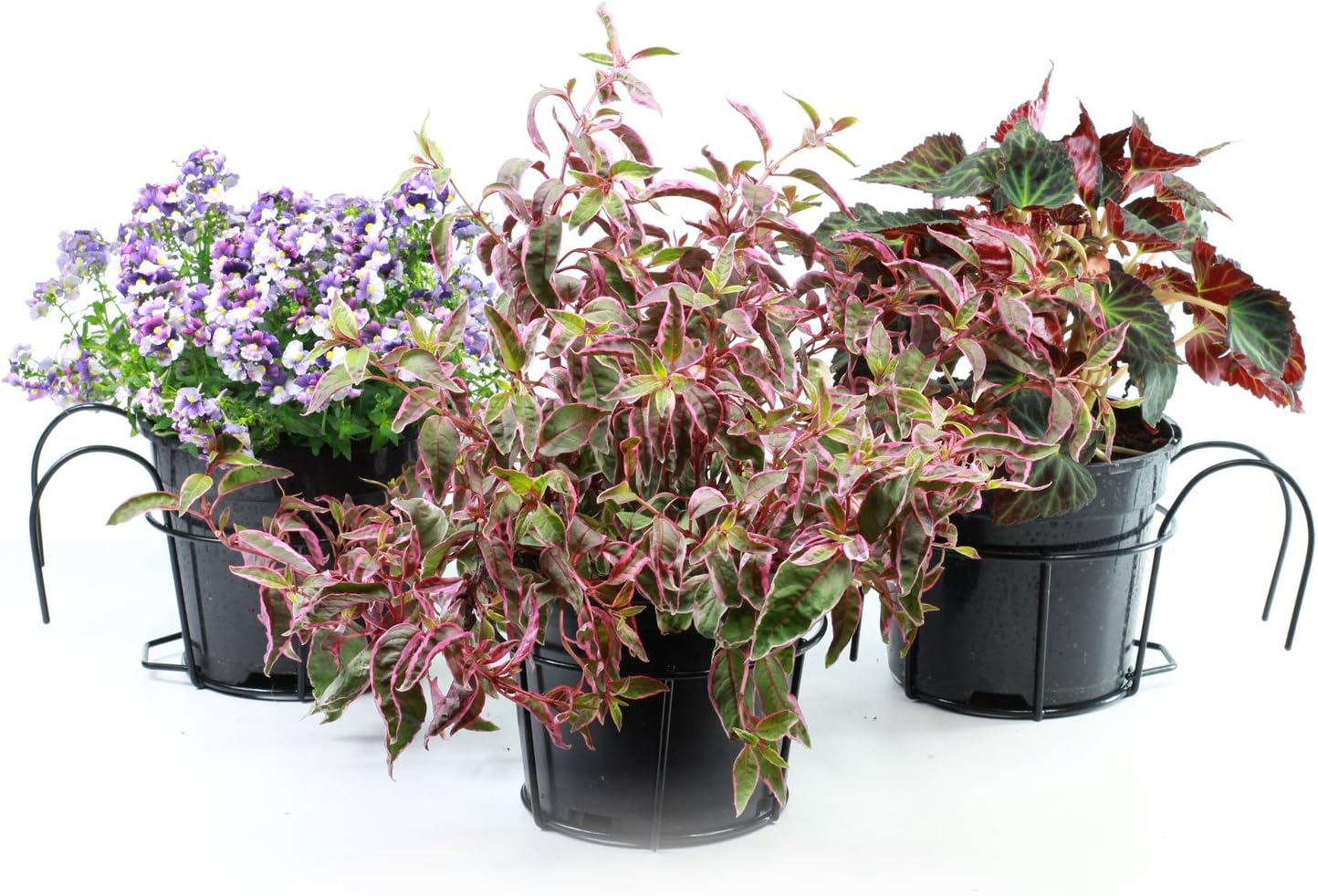 GOLDBEARUK Balcony Planters - Black Metal - Set of 3 - Balcony Planters Pot holders (Large 24cm)