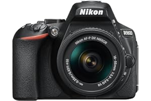 NIKON D5600 AF-P DX NIKKOR 18-55mm f/3.5-5.6G VR Kit
