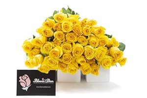 Blooms2Door Flowers - 50 Yellow Roses (Long Stem - 50cm) - Wholesale Fresh Flowers I Gift for Birthday, Anniversary, Thank You, Mother’s Day Fresh Flowers.