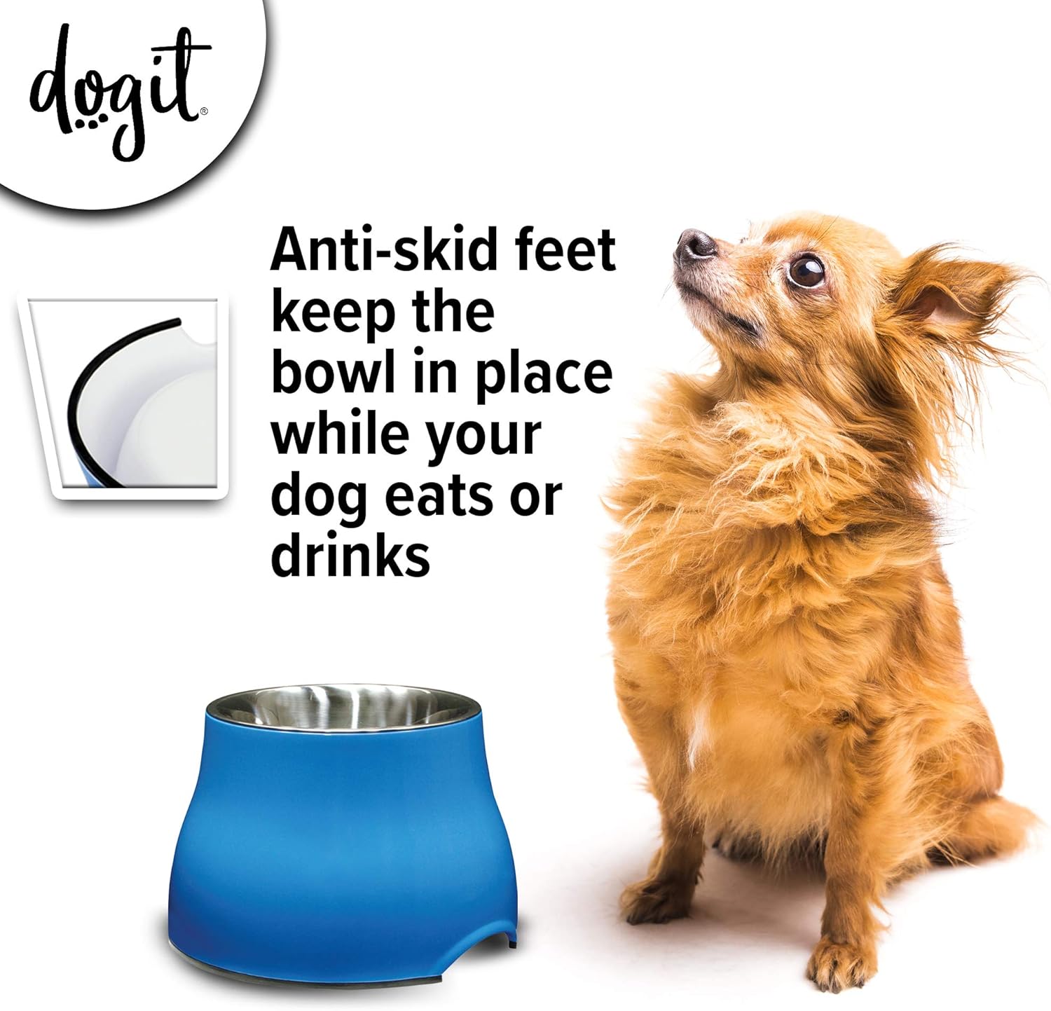 Dogit Elevated Dog Bowl, Stainless Steel Dog Food and Water Bowl for Small Dogs, Blue, 73743: Home & Kitchen