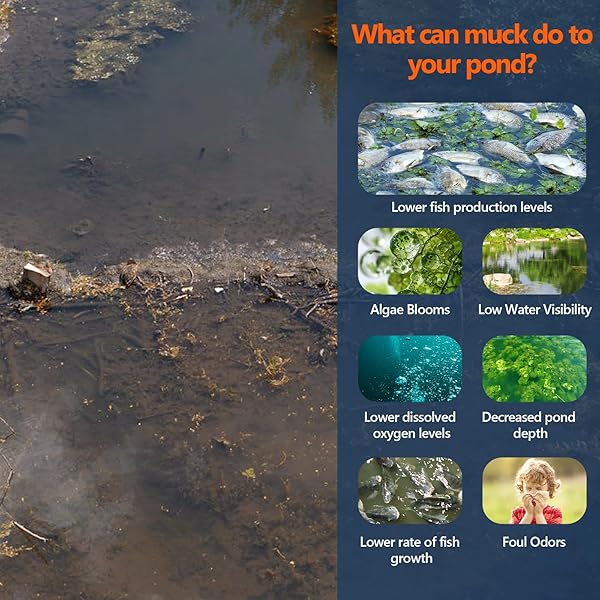 MUCK REDUCER NATURAL POND SLUDGE REMOVER 10 LB (20 SCOOPS) POND TABLETS TREATS 2.5 ACRES MUCK REMOVAL FOR PONDS & LAKES, WATER GARDEN,FOUNTAIN AWAY ODOR CONTROL,SAFE FOR FISH,AQUATIC LIFE,WILDLIFE,PET
