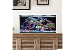 Innovative Marine Starter Kit Aquariums (25 Gallon Lagoon)