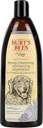 coconut oil bath for dogs