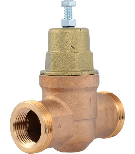 Regolatore Di Pressione ForeverPRO WB19K10055 Per Fornelli GE - Ricambio Specifico