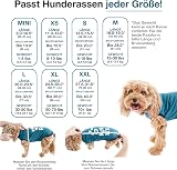 BellyGuard Dog Recovery Suit for Post Surgery Vests Cozy Onesie view 3