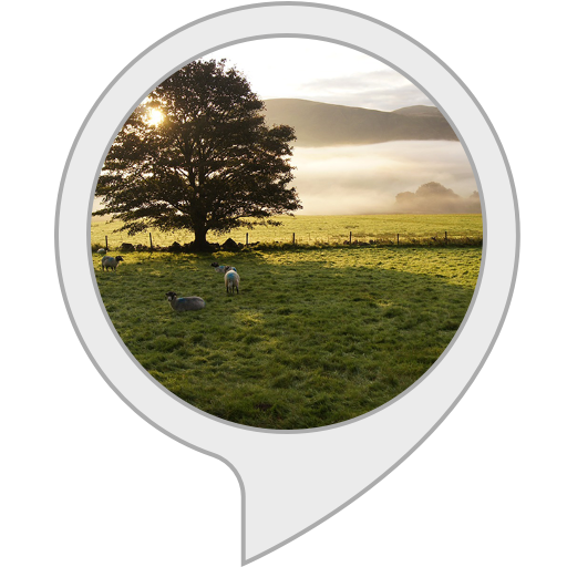 Sonido ambiental buenos días