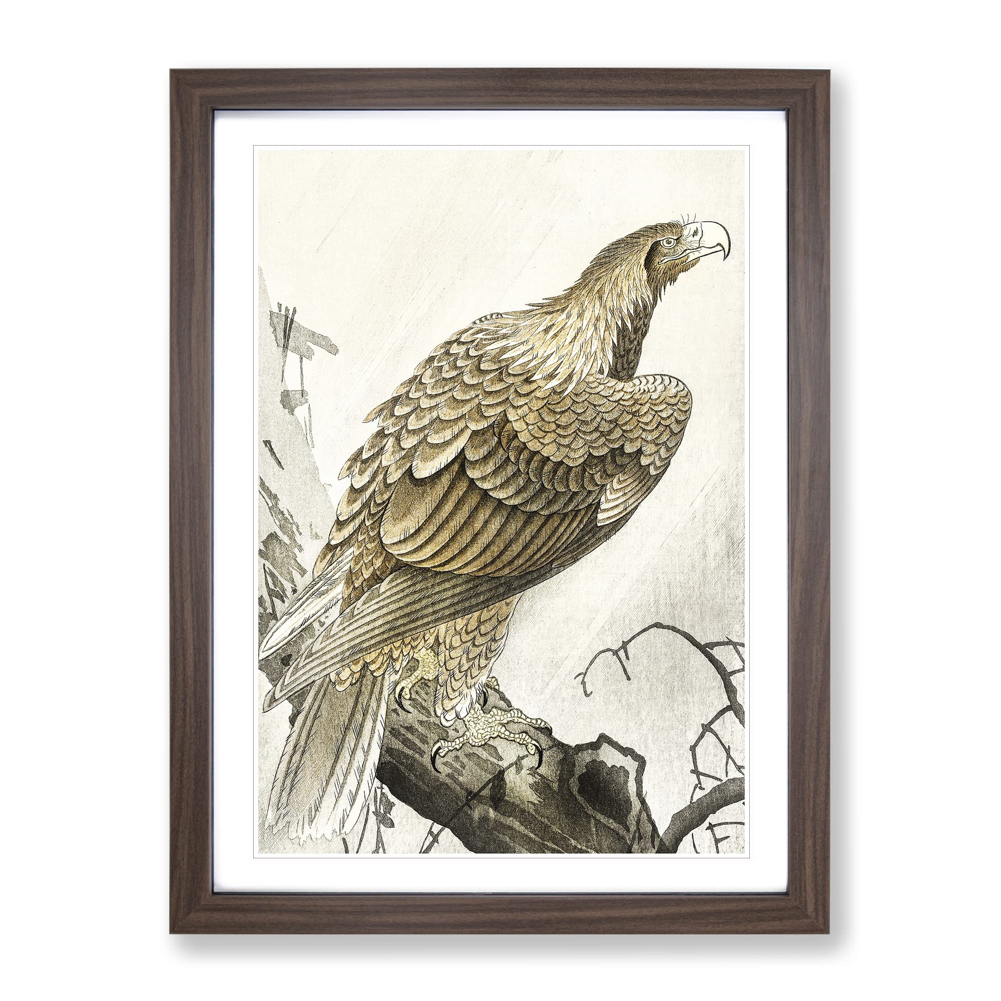Eagle On A Tree Branch By Ohara Koson Asian Japanese Framed Wall Art Print, Ready to Hang Picture for Living Room Bedroom Home Office Décor, Walnut A4 (34 x 25 cm)