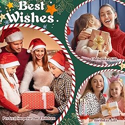 Advent Calendar 2025, Animal World 24 Days