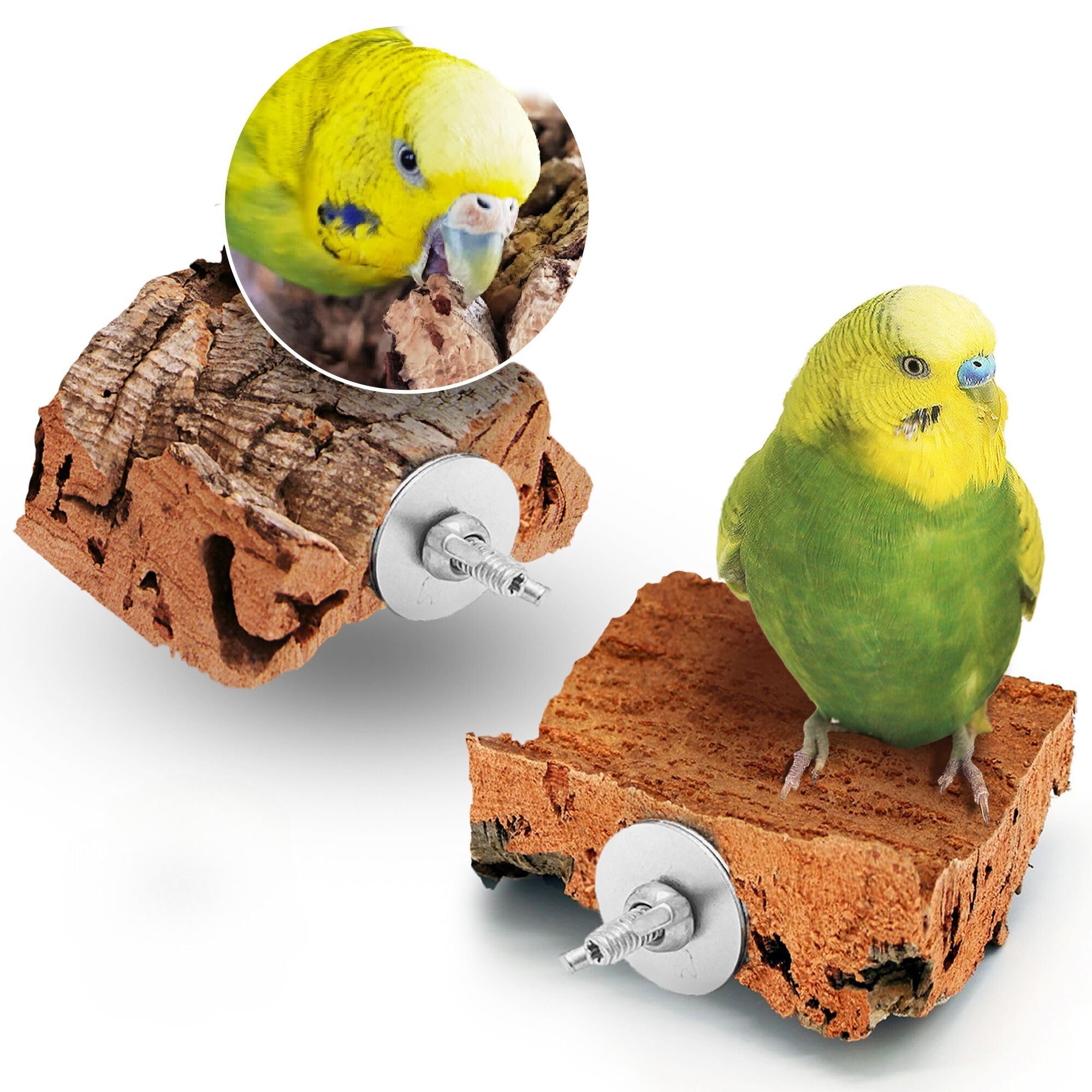 Budgie toys 2 pieces natural cork bird toys shredding toy bird cuttlefish for birds alternative budgie accessories
