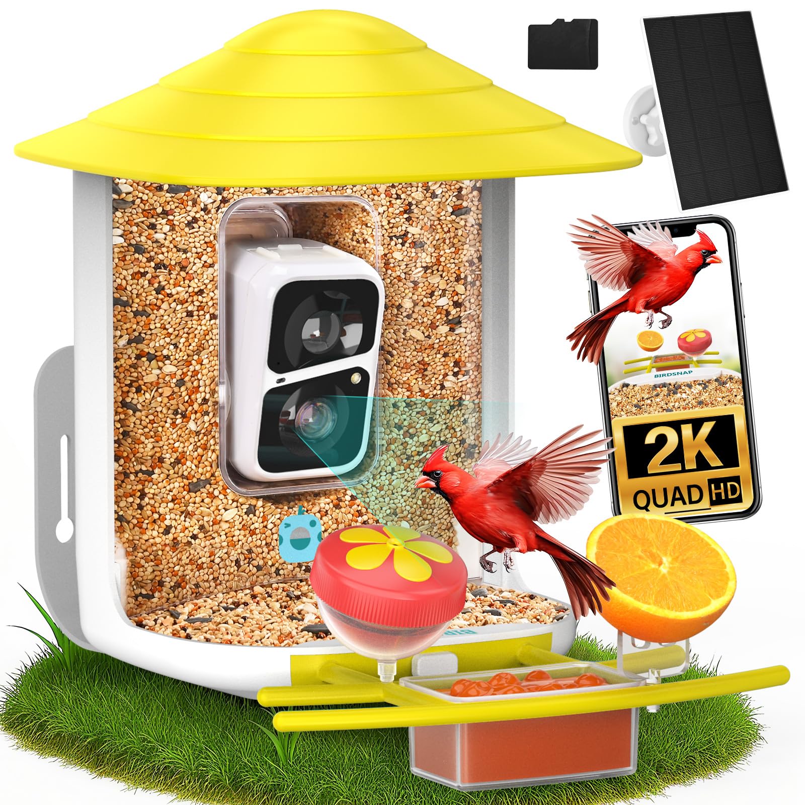 birdsnap® TUC Bird Feeder with Camera 2K HD, Solar Panel 32GB Card 4-in-1 Perch, 160°View Auto Detect & Notify AI Identify Video Bird Camera Wireless Outdoors Ideal Gift for Birds Lover Image
