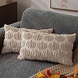 DFXSZ Fall Pillow Covers 12x20 Set of 2 Fall
