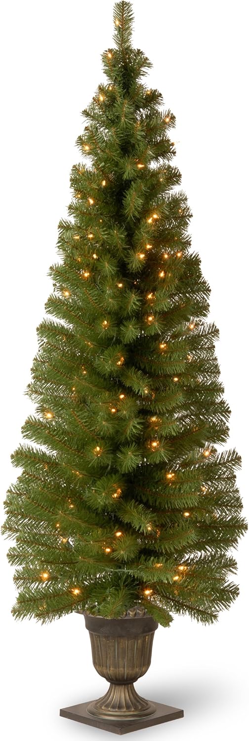 National Tree 6 Foot Montclair Spruce Entrance Tree with 150 Clear Lights in Gold Decorative Urn (MC7-308-60)