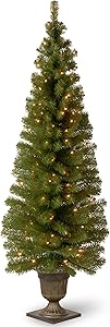 National Tree 6 Foot Montclair Spruce Entrance Tree with 150 Clear Lights in Gold Decorative Urn (MC7-308-60)