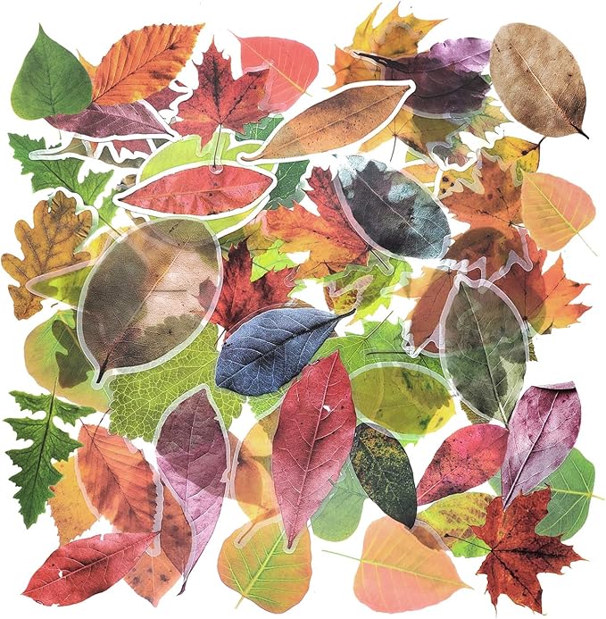 180 Sheets Scrapbook Sticker Leaf Sticker Deco Sticker Assorted in 6