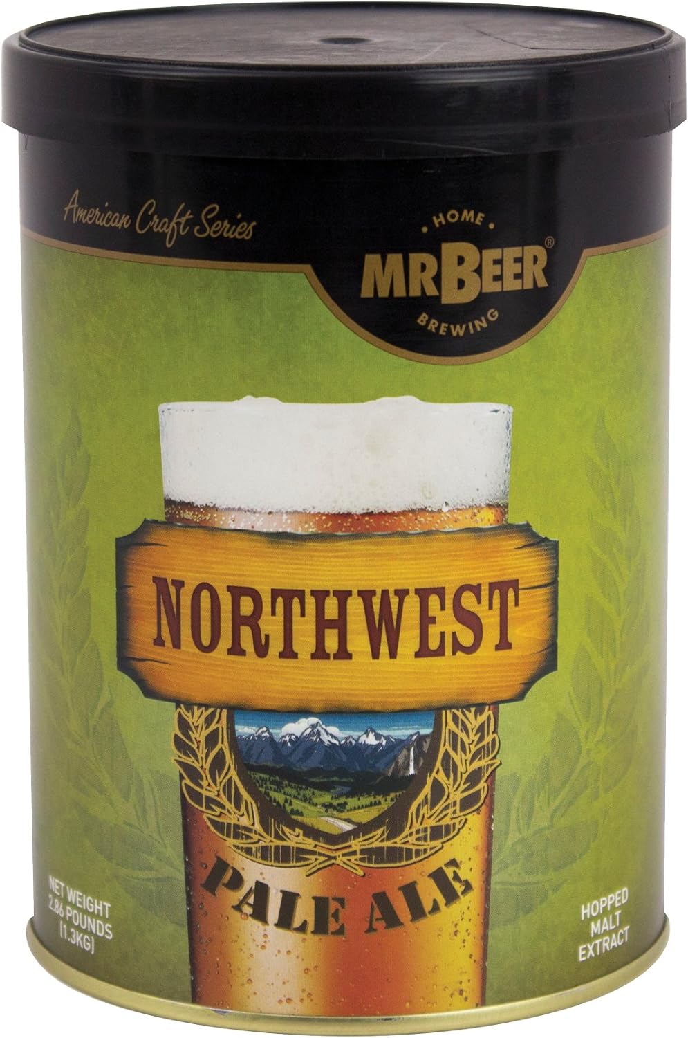 Best Home Pale Ale Beer Brewing Kit