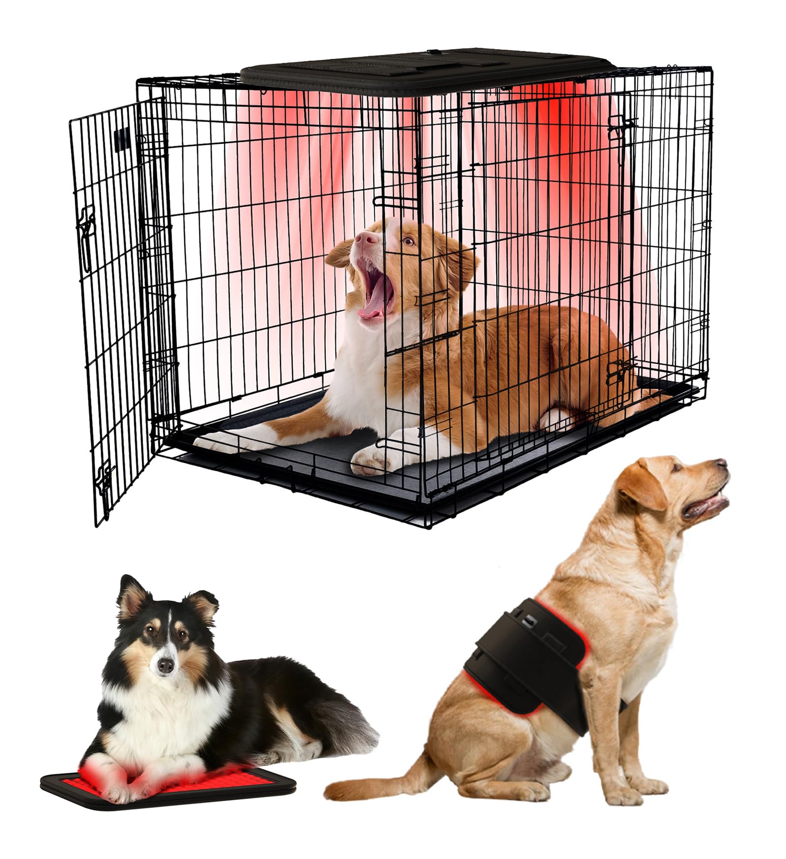 Photo 1 of iKeener Cold Laser Therapy Device for Dogs and Humans,Red Light Therapy for Dogs, Pet Laser Therapy for Pets with 128PCS 3-in-1 LD for Pain Relief,Itching Skin & Wound Care in Dogs, Cats, Horses