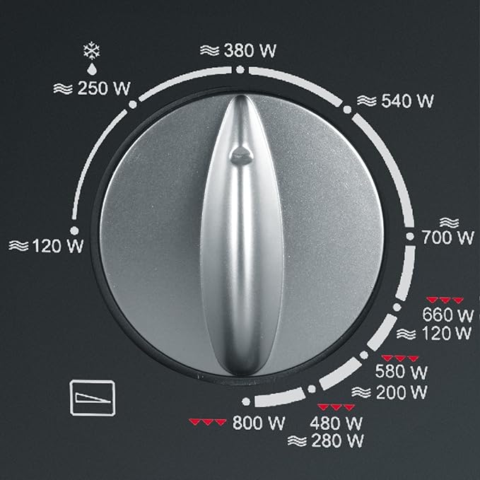 Severin Microondas de 17 Litros con Grill: Amazon.es: Hogar