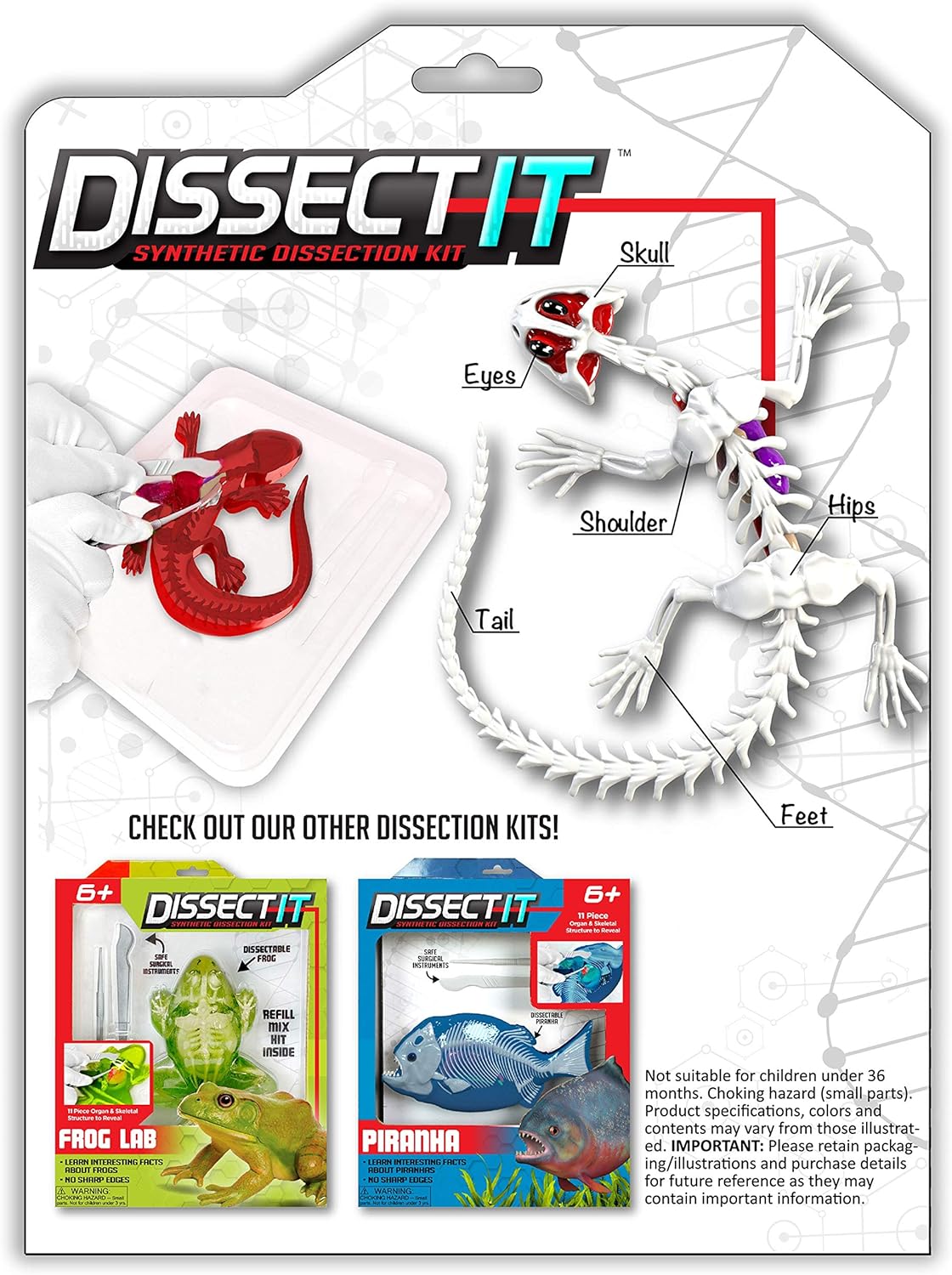 Top Secret Toys Dissect-It Simulated Synthetic Lab Dissection STEM Toy | Kids Home Learning Science Project, Great for Young Scientists! - Salamander: Toys & Games
