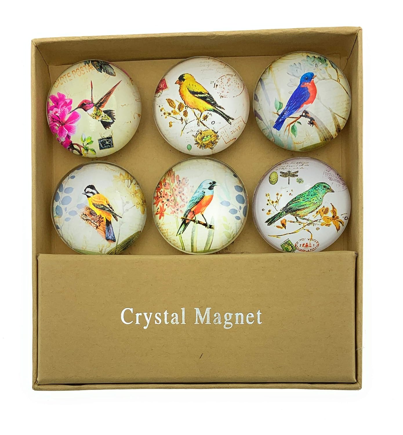 Which Is The Best Birds Magnets For Refrigerator