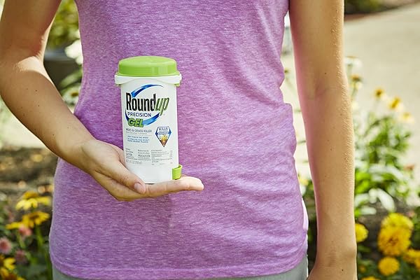 ROUNDUP PRECISION GEL WEED & GRASS KILLER 5 OZ (150ML)
