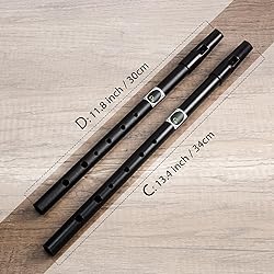 VixxNoxx Irish Tin Whistle Key of C, Penny Whistle