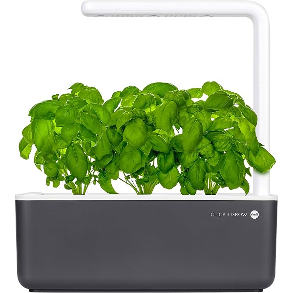 Emsa m5261900 Click & Grow Smart Garden 3 Jardín de Interior ...