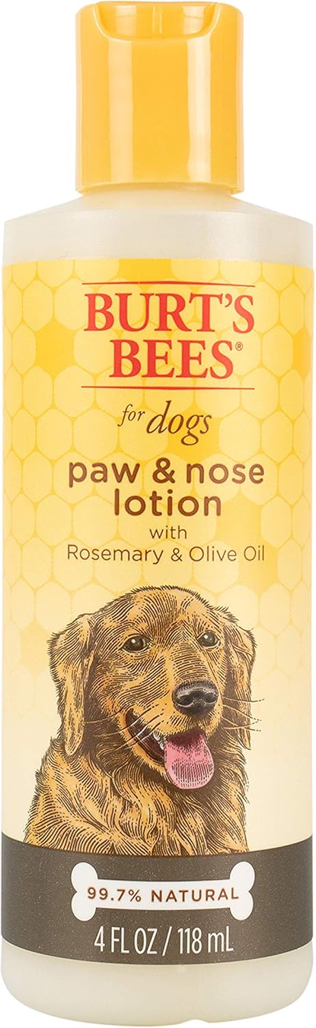 Can You Put Lotion on a Dog? 2 Burt’s Bees Paw and Nose Lotion with Rosemary and Olive Oil