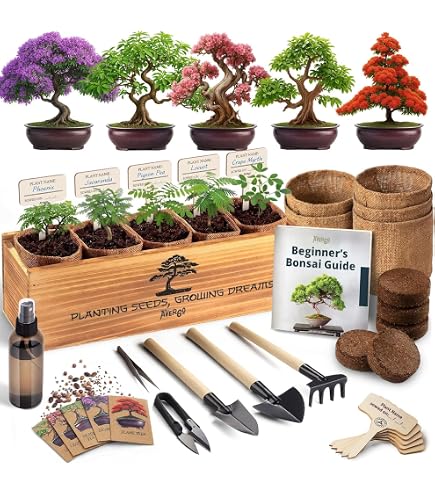 Rare 10Pcs Blue Maple Seeds Bonsai Ornamental Plants Garden Indoor