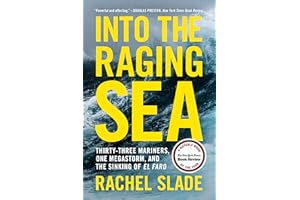 Into the Raging Sea: Thirty-Three Mariners, One Megastorm, and the Sinking of El Faro