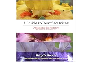 A Guide to Bearded Irises: Cultivating the Rainbow for Beginners and Enthusiasts
