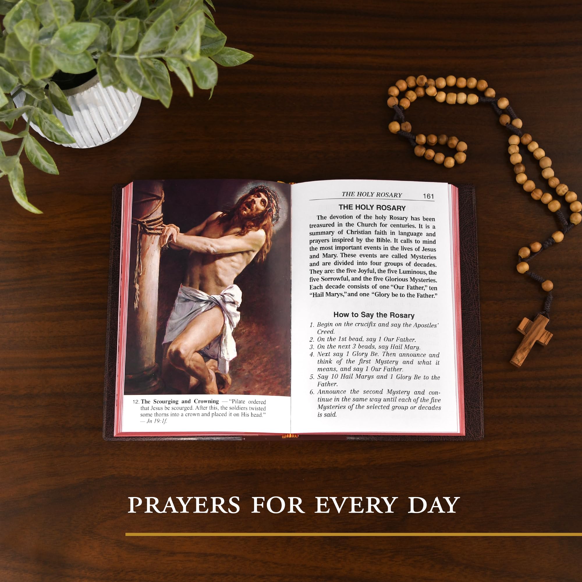 Catholic Book of Prayers: Popular Catholic Prayers Arranged for Everyday Use [Imitation Leather] Fitzgerald, Maurus Catholic Book of Prayers: Popular Catholic Prayers Arranged for Everyday Use [Imitation Leather] Fitzgerald, Maurus Imitation Leather