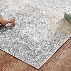 jinchan Area Rug 2x3 Washable Rug Doormat Modern