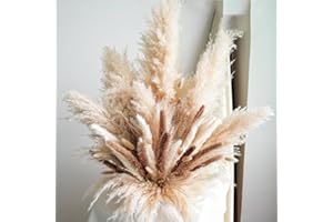 YOJOYI Decorative Tall Pampas Grass for Floor Vase – Premium Large Pampas Grass Decor Tall, 17"-40" Pampas Grass Stems, Dried Pampas Grass Decor Tall, Natural Pampas Grass with Beige Decor and Boho Feathers